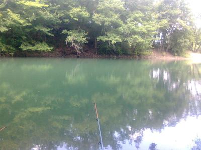 Прикрепленное изображение: Фото0021.jpg